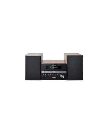 BLAUPUNKT MS46BT Microwieża