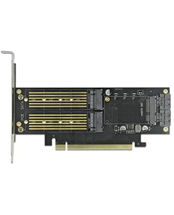 DeLOCK PCIe x16 card> 2x M.2KeyB + 1xmSATA