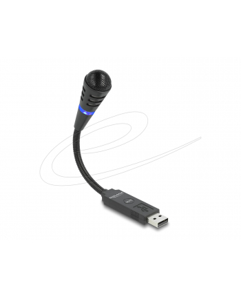 DeLOCK DeLOCK USB gooseneck microphone - 66499 nr 2
