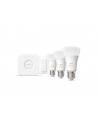 Philips Hue E27 3 starter set 3x800lm 75W - incl.DS - White Amb. - nr 17