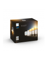 Philips Hue E27 3 starter set 3x800lm 75W - incl.DS - White Amb. - nr 8