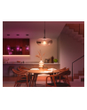 Philips Hue E27 single pack 1100lm 100W - White ' Col. Amb. - nr 15