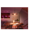 Philips Hue E27 single pack 1100lm 100W - White ' Col. Amb. - nr 1