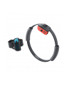 Nintendo Ring Fit Adventure 00 - nr 29