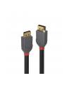 Lindy DisplayPort 1.2 cable Anthra Lindye 10m - 36486 - nr 2