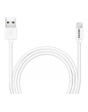 ADATA Lightning Cable (A-to-LT) Kolor: BIAŁY 1m - Plastic - nr 4