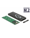 DeLOCK external enclosure for M.2 SATA SSD, drive enclosure 42003 - nr 3
