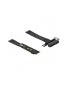 DeLOCK M.2 Key M> PCIe x4 NVMe adapter - + 20cm cable - nr 3