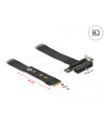 DeLOCK M.2 Key M> PCIe x4 NVMe adapter - + 20cm cable nr 1