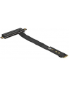 DeLOCK M.2 Key M> PCIe x16 NVMe - + 20cm cable - nr 1