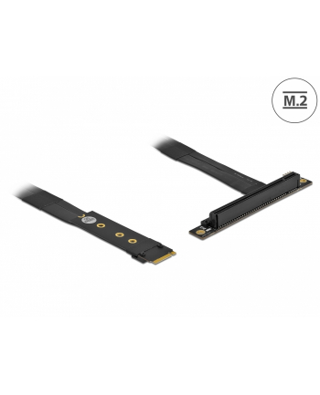 DeLOCK M.2 Key M> PCIe x16 NVMe w. - + 20cm cable