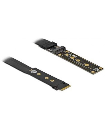 DeLOCK riser card M.2 Key M extension - with 20 cm cable