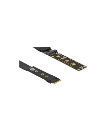 DeLOCK riser card M.2 Key M extension - with 20 cm cable