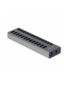 Delock External SS USB Hub 13Ports + Switch - 63738 - nr 4