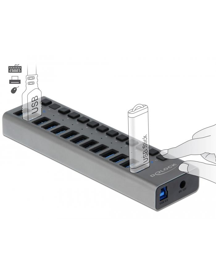 Delock External SS USB Hub 13Ports + Switch - 63738 główny