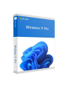 Microsoft SB Windows 11 Pro 64bit D-E - DVD - nr 22