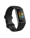 Fitbit Charge 5 - Color: Kolor: CZARNY / stainless steel graphite - nr 1