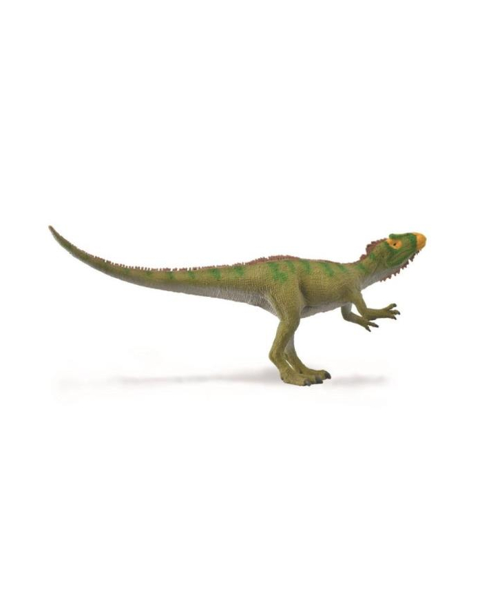 Dinozaur Neovenator tropiący ofiarę 88917 COLLECTA główny