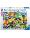 Puzzle 1000el Kraina Lorikeet 168156 RAVENSBURGER - nr 1