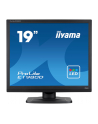 Iiyama 19 LED E1980D-B1 - 19 5: 4 - nr 17