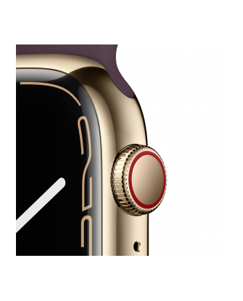 Apple Watch S7 stainless steel Cell 45mm (sport bracelet dark cherry)