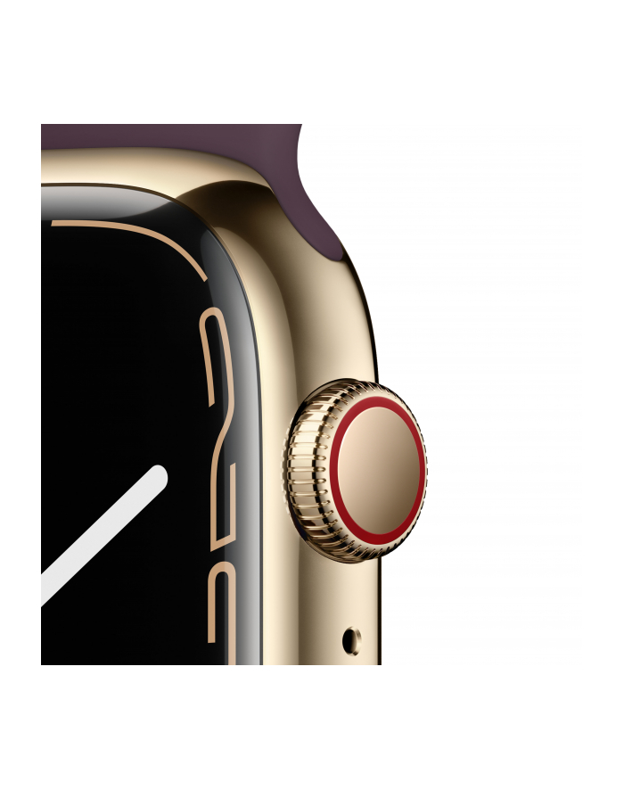 Apple Watch S7 stainless steel Cell 45mm (sport bracelet dark cherry) główny
