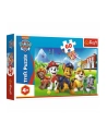 Puzzle 60el Paw Patrol na polanie. Psi Patrol 17375  Trefl - nr 1