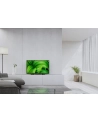 Sony KD32W800 TCS SMA XXX XXX 80 - nr 20