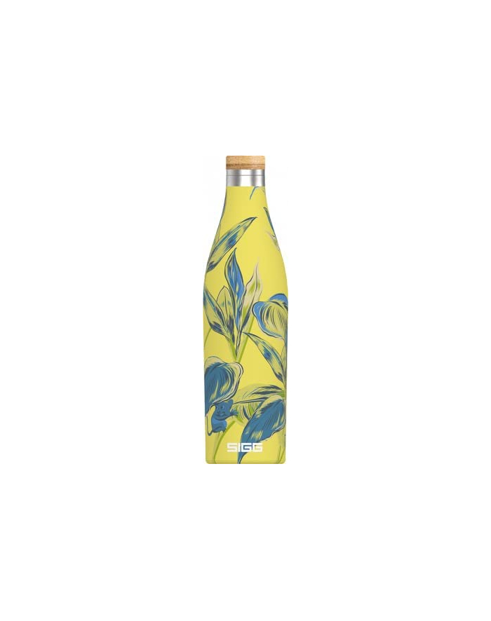 SIGG Meridian Sumatra Maki 0.5l Kolor: CZARNY - 8971.30 główny