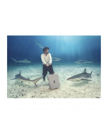 B'W International outdoor.case type 6600 empty bk - 6600 / B