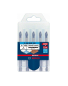 bosch powertools Bosch HEX-9 HC drill 5-part roofing set 6mm - 2608900599 EXPERT RANGE - nr 1