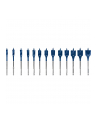 bosch powertools Bosch Expert Self Cut Speed ??flat drill bit set, 13 pieces, ? 10 - 32mm - nr 3