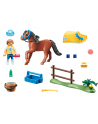 Playmobil Collectible Pony Welsh - 70523 - nr 2