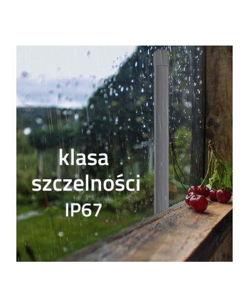 qoltec Antena LoRa | 10dBi | Zewnętrzna