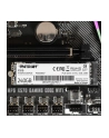 patriot Dysk SSD P310 240GB M.2 2280 1700/1000 PCIe NVMe Gen3 x 4 - nr 15