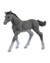 Schleich 13944 Źrebię rasy trakeńskiej. Horse Club - nr 1
