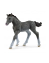 Schleich 13944 Źrebię rasy trakeńskiej. Horse Club - nr 2