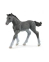 Schleich 13944 Źrebię rasy trakeńskiej. Horse Club - nr 3