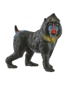 Schleich 14856 Mandryl. Wild Life - nr 3