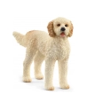 Schleich 13939 Pies rasy Goldendoodle. - nr 1
