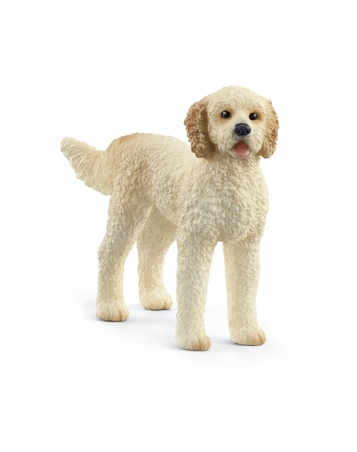 Schleich 13939 Pies rasy Goldendoodle. główny