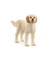 Schleich 13939 Pies rasy Goldendoodle. - nr 5