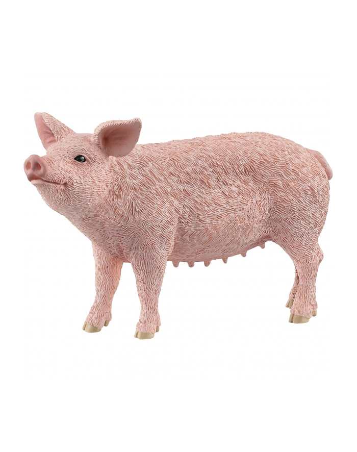 Schleich 13933 Świnia Farm World główny