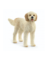 Schleich 13939 Pies rasy Goldendoodle. - nr 3
