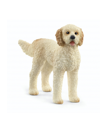 Schleich 13939 Pies rasy Goldendoodle.