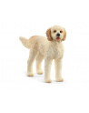 Schleich 13939 Pies rasy Goldendoodle. - nr 4