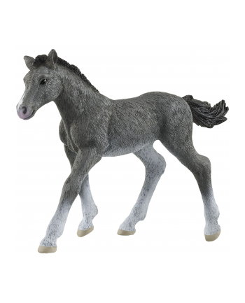 Schleich 13944 Źrebię rasy trakeńskiej. Horse Club