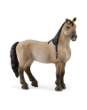 Schleich 13948 Klacz Criollo Definitivo. Horse Club - nr 3