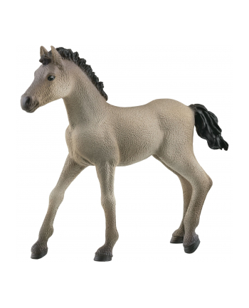 Schleich 13949 Źrebię Criollo Definitivo. Horse Club