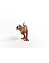Schleich 15032 Dinozaur Majungazaur - nr 19